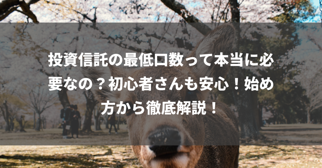 投資信託の最低口数って本当に必要なの？初心者さんも安心！始め方から徹底解説！